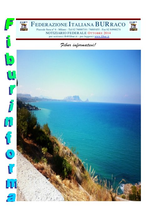 Copertina FIBUR Informa - Ottobre 2014