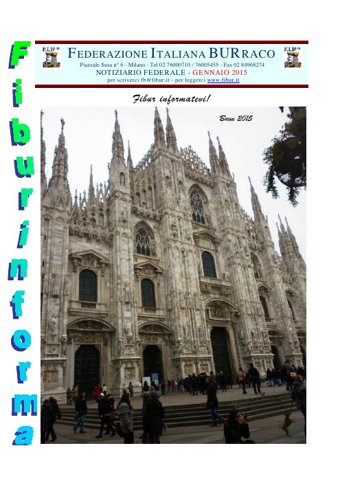Copertina FIBUR Informa - Gennaio 2015