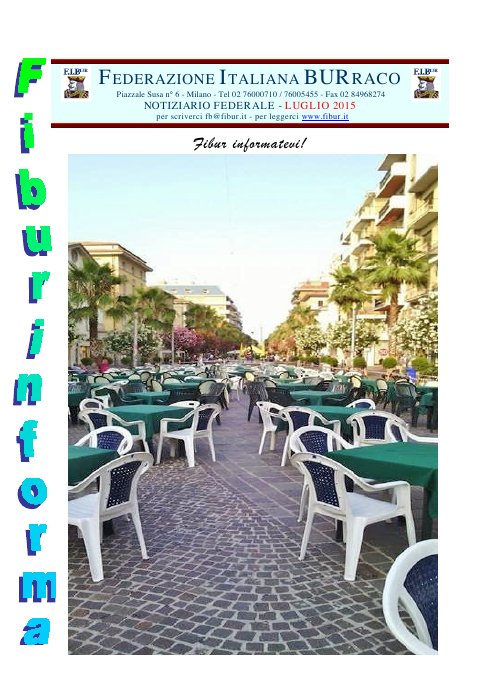Copertina FIBUR Informa - Luglio 2015